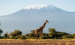 AdventureWomen is offering a chance to ring in 2027 on the peak of Mount Kilimanjaro.
