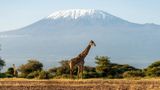 AdventureWomen is offering a chance to ring in 2027 on the peak of Mount Kilimanjaro.