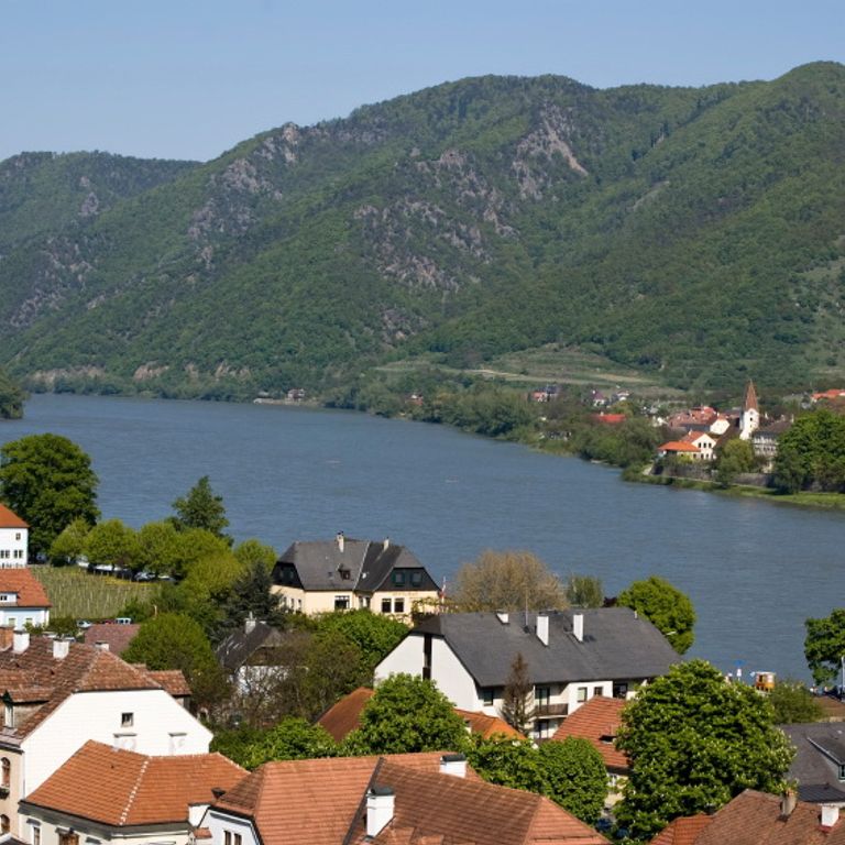 Danube River Cruises