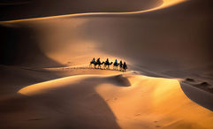 Exodus Adventure Travels' new "Signature Morocco: Echoes of the Minaret" itinerary includes the chance to ride a camel in the Sahara.