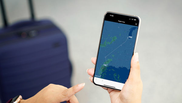 How Travel Advisors Help Improve the Air Travel Experience