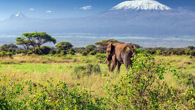 Photo courtesy of Air France