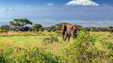 Photo courtesy of Air France